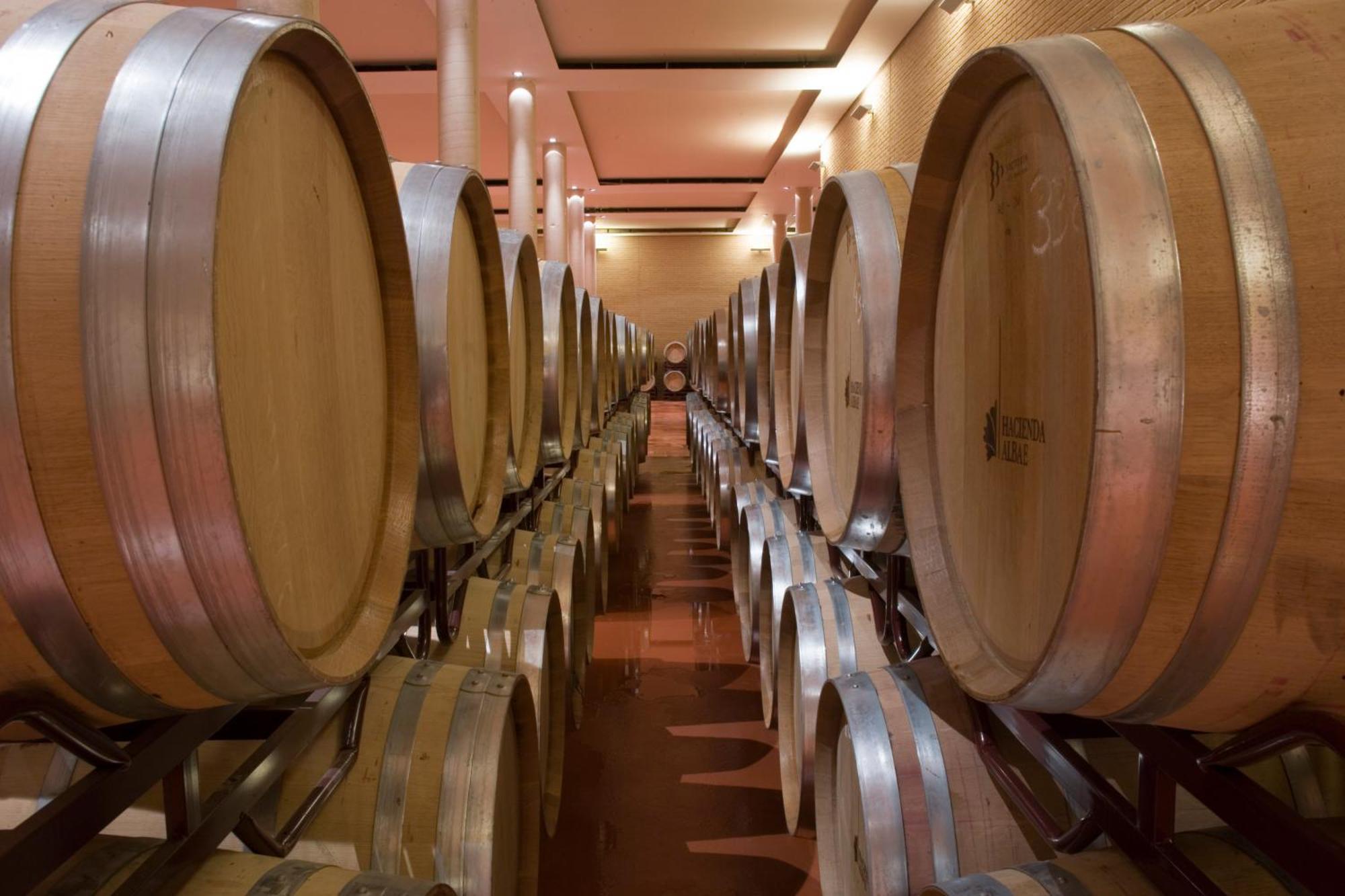 Bodegas Hacienda Albae Guest House Argamasilla de Alba Eksteriør bilde
